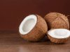 पौराणिक कथा- कैसे हुआ नारियल का जन्म?
