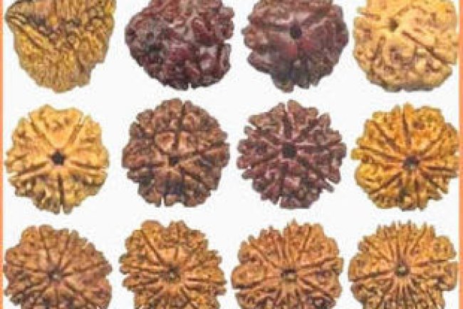 भगवान शिव के आंसुओं से हुई थी रुद्राक्ष की उत्पत्ति