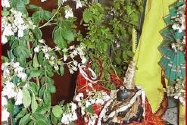 क्यों होता है तुलसी-शालिग्राम का विवाह?