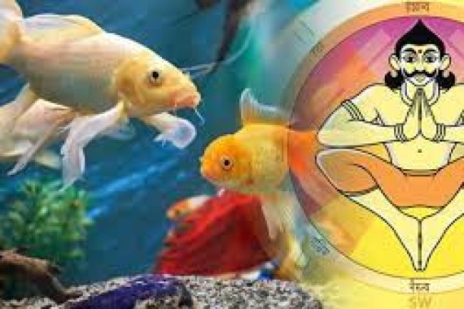 इसलिए घर में मछलियों का जोड़ा रखना माना जाता है शुभ