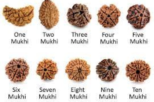 कहां से आया रुद्राक्ष, पढ़ें कथा और हर रुद्राक्ष का महत्व