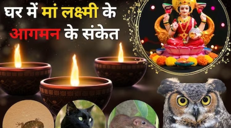 दीपावली पर क्या क्या चीजे दिखना शुभ संकेत होता है