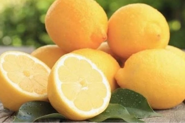 स्वास्थ्य रक्षक नींबू