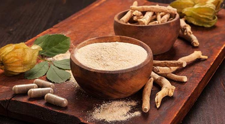 गुणों से भरपूर है वेत्र (बेंत)