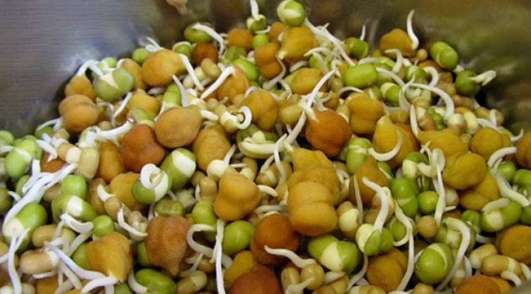 दूध से है चिढ़ तो ऐसे करें कैल्शियम की कमी दूर