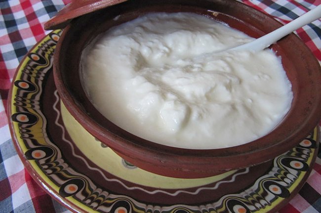 दही खाने के फायदे और नुकसान