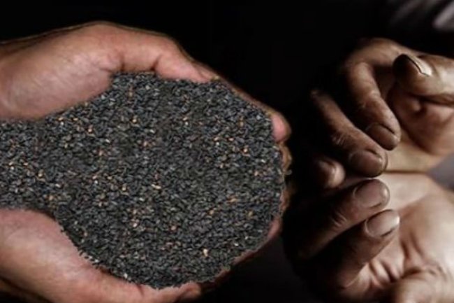 धन प्राप्ति के लिए श्राद्ध में जरूर करें इन सात चीजों का दान