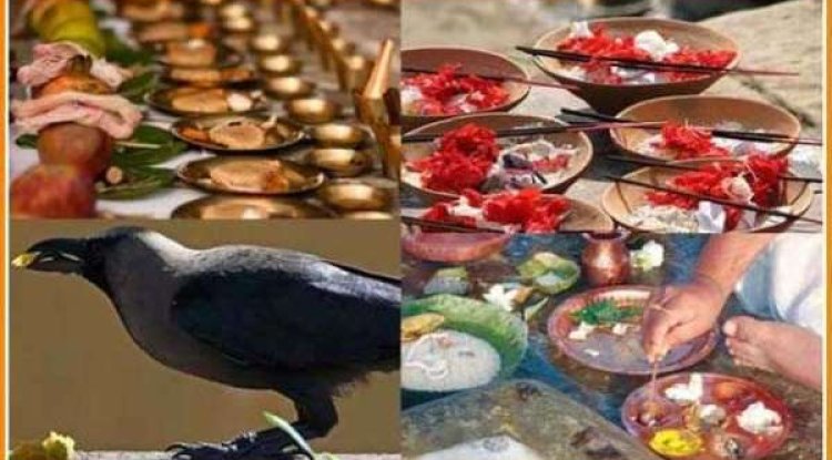 कौए हैं देवपुत्र श्राद्ध का भोजन उन्हें करें अर्पित