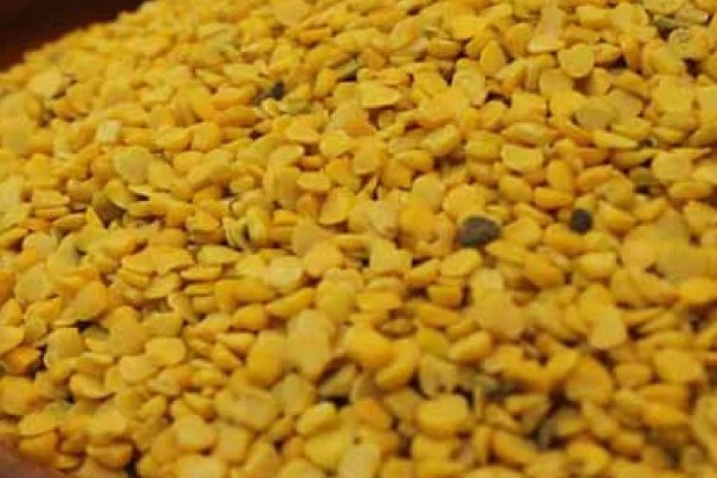 खेसारी के फायदे, लाभ, उपयोग