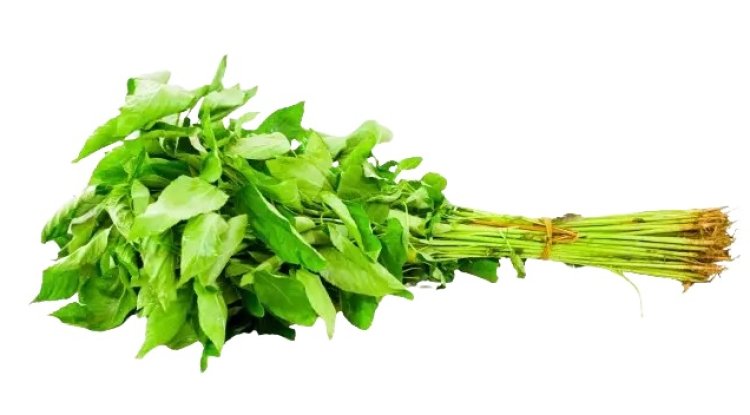 पट्टशाक दूर करे कई बीमारियां