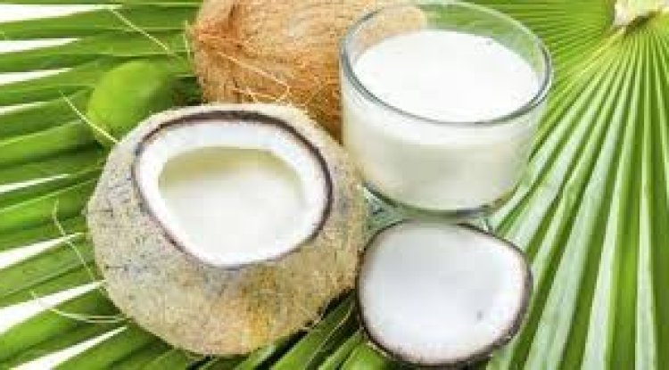 नारियल के दूध के फायदे, उपयोग और नुकसान
