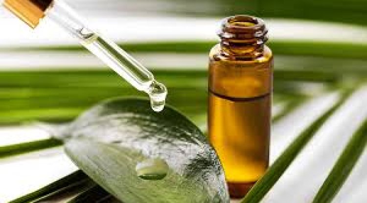 टी-ट्री (Tea Tree) ऑयल के फायदे एवं नुकसान