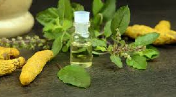 त्वचा के लिए तुलसी के फायदे