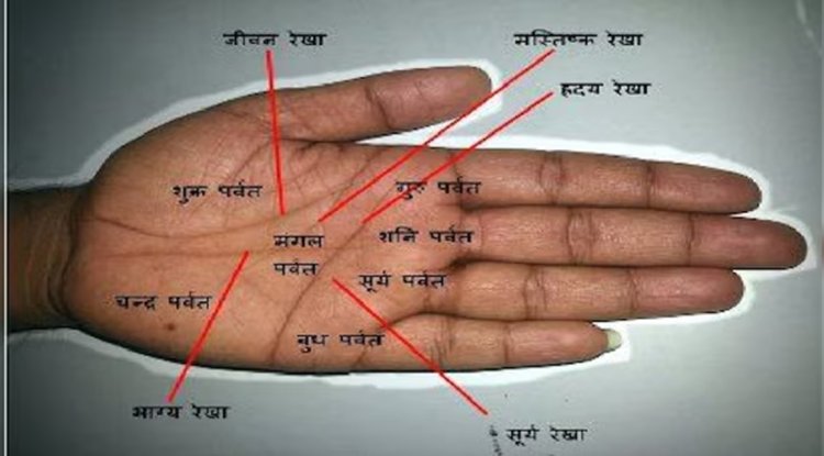 हस्तरेखा: अपने ज्ञान और विवेक से अकूत संपत्ति के मालिक बनते हैं ऐसी हथेली वाल