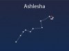 अश्लेषा नक्षत्र ज्योतिष रहस्य