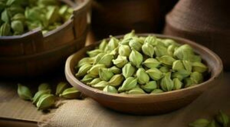 आयुर्वेद की अमृत जड़ीबूटी — रोज खाएं इलायची