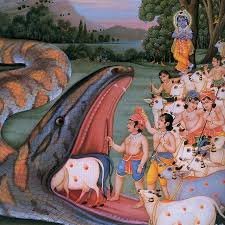 भागवत कथा: श्रीकृष्ण ने अष्टावक्र के शाप से अजगर बने अघासुर का किया उद्धार